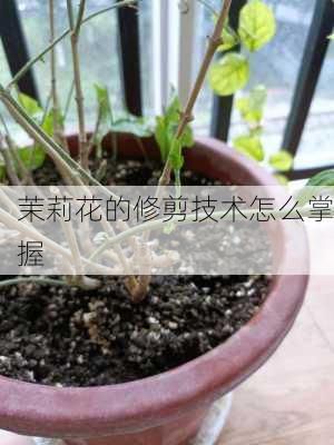 茉莉花的修剪技术怎么掌握