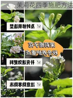 茉莉花四季施肥方法