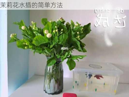 茉莉花水插的简单方法