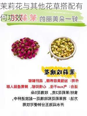 茉莉花与其他花草搭配有何功效