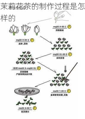 茉莉花茶的制作过程是怎样的