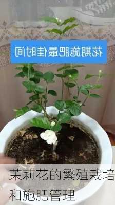 茉莉花的繁殖栽培和施肥管理