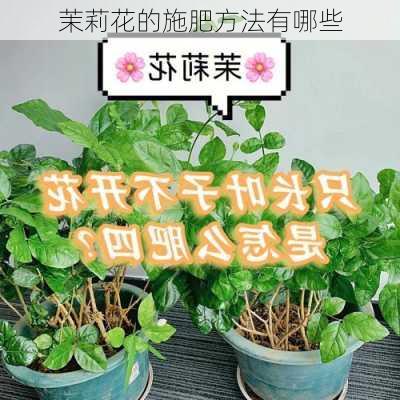 茉莉花的施肥方法有哪些