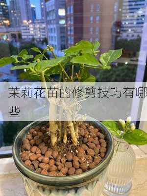 茉莉花苗的修剪技巧有哪些