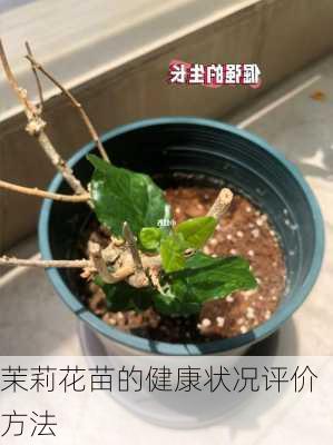 茉莉花苗的健康状况评价方法