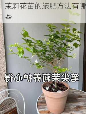 茉莉花苗的施肥方法有哪些