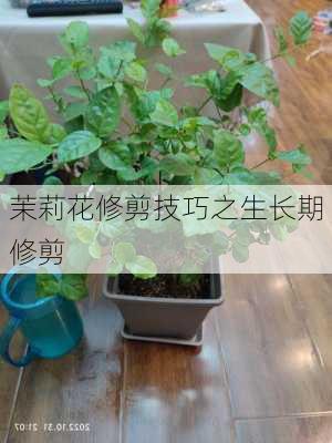 茉莉花修剪技巧之生长期修剪