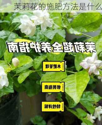 茉莉花的施肥方法是什么