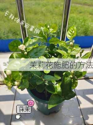 茉莉花施肥的方法