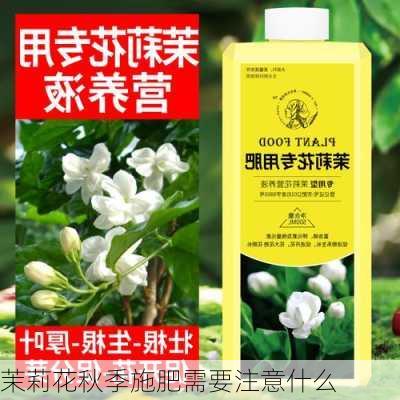 茉莉花秋季施肥需要注意什么