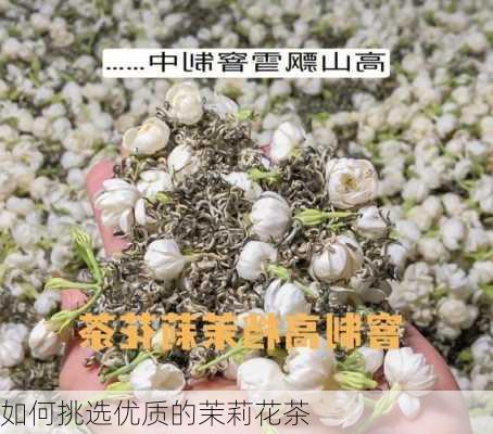 如何挑选优质的茉莉花茶