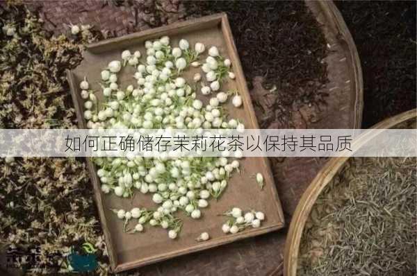 如何正确储存茉莉花茶以保持其品质