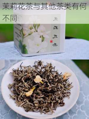 茉莉花茶与其他茶类有何不同