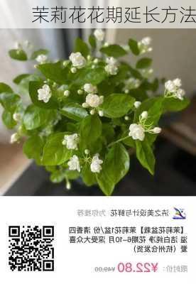 茉莉花花期延长方法