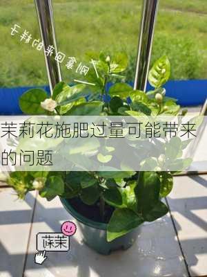 茉莉花施肥过量可能带来的问题