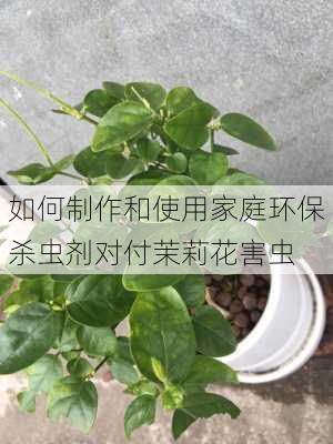 如何制作和使用家庭环保杀虫剂对付茉莉花害虫