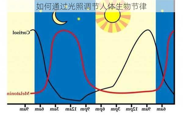 如何通过光照调节人体生物节律