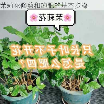 茉莉花修剪和施肥的基本步骤