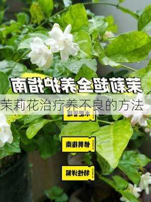 茉莉花治疗养不良的方法