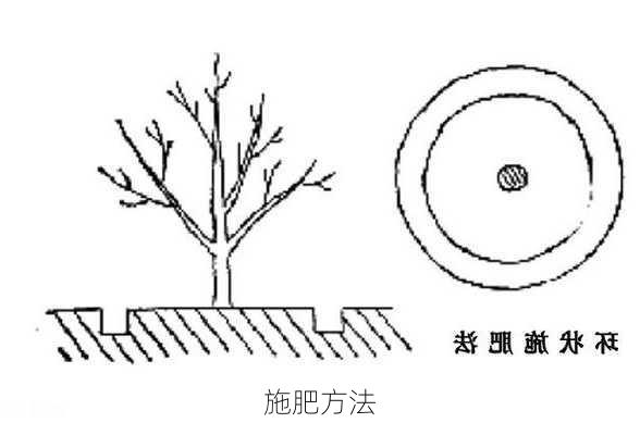 施肥方法