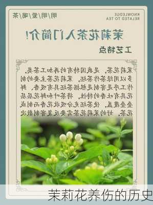 茉莉花养伤的历史