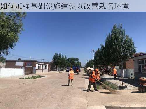 如何加强基础设施建设以改善栽培环境