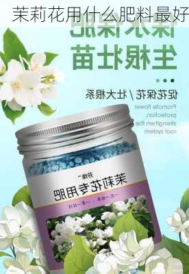 茉莉花用什么肥料最好