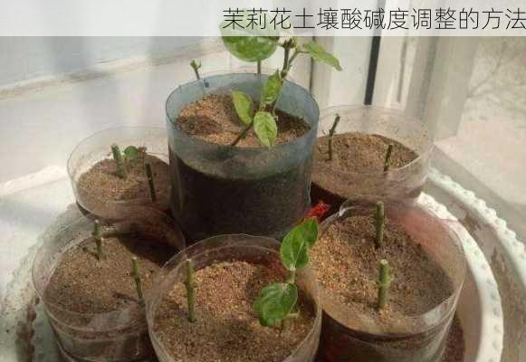 茉莉花土壤酸碱度调整的方法