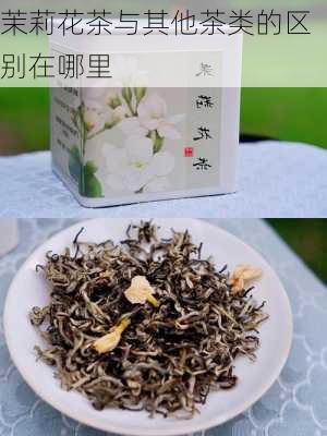 茉莉花茶与其他茶类的区别在哪里