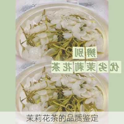 茉莉花茶的品质鉴定