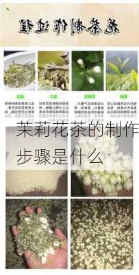 茉莉花茶的制作步骤是什么