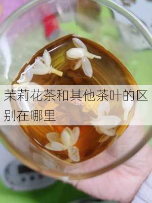 茉莉花茶和其他茶叶的区别在哪里