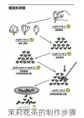 茉莉花茶的制作步骤