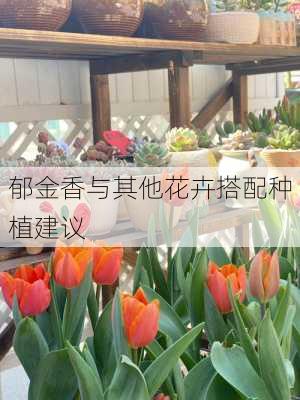 郁金香与其他花卉搭配种植建议