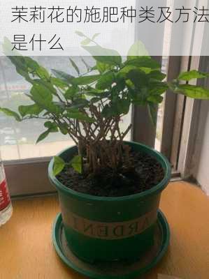 茉莉花的施肥种类及方法是什么