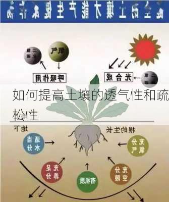 如何提高土壤的透气性和疏松性