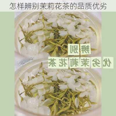 怎样辨别茉莉花茶的品质优劣