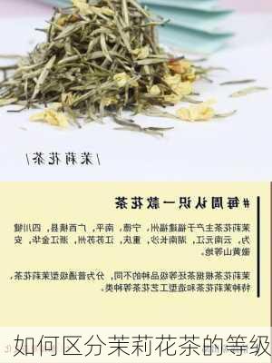 如何区分茉莉花茶的等级