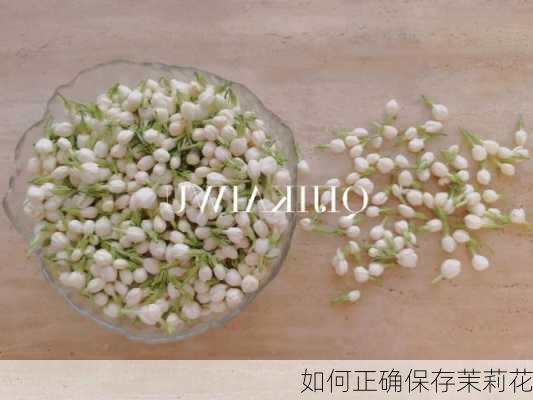 如何正确保存茉莉花