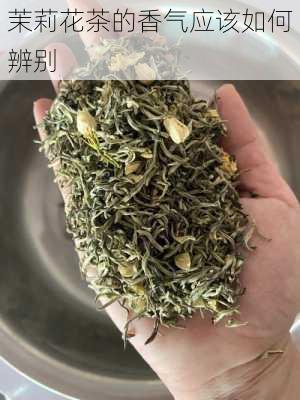 茉莉花茶的香气应该如何辨别