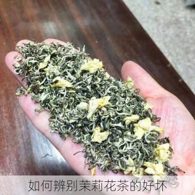 如何辨别茉莉花茶的好坏