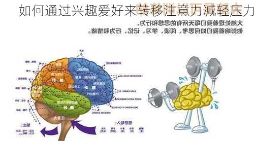 如何通过兴趣爱好来转移注意力减轻压力