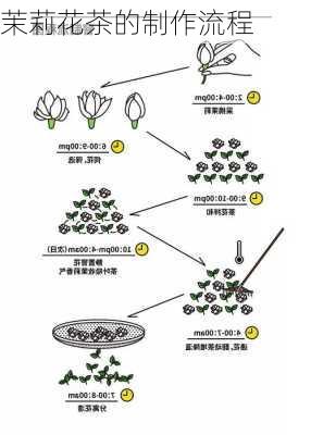 茉莉花茶的制作流程