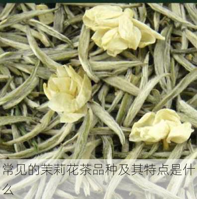 常见的茉莉花茶品种及其特点是什么