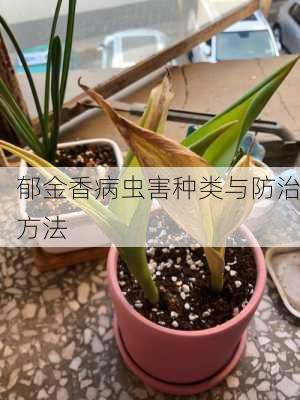 郁金香病虫害种类与防治方法