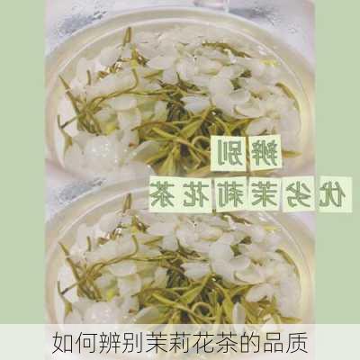 如何辨别茉莉花茶的品质