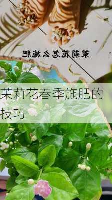 茉莉花春季施肥的技巧