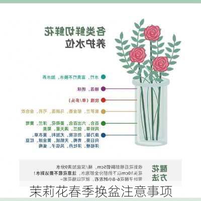 茉莉花春季换盆注意事项