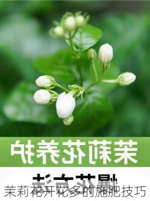 茉莉花开花多的施肥技巧