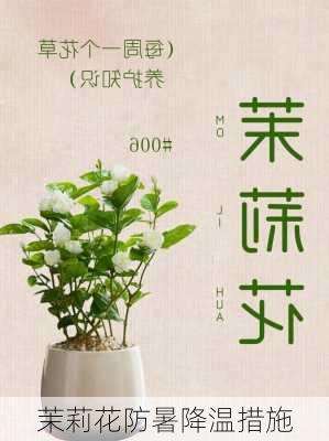 茉莉花防暑降温措施